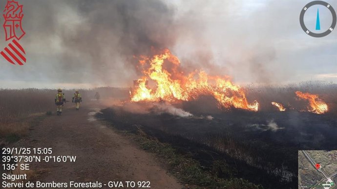 Bombers treballen en l'extinció d'un incendi forestal a la Marjal dels Moros amb mitjans aeris