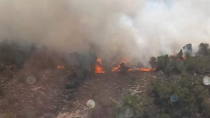 Vista de l'incendi forestal del Monte Coto al terme municipal de l'Alguenya, sobre les 13.00 hores del dimecres 29 de gener del 2025.