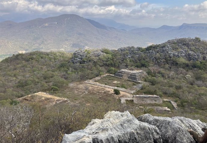 Vista de la Plaza Norte de Guiengola desde arriba. Es la única zona que no está cubierta por un dosel de árboles.