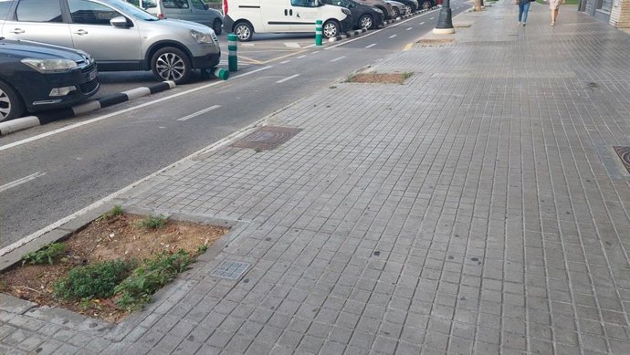 Compromís critica que l'Ajuntament de València manté més de 4.500 escocells buits o amb arbres morts en la ciutat.