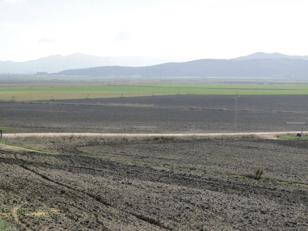 Archivo - Terrenos de la desecada laguna de La Janda