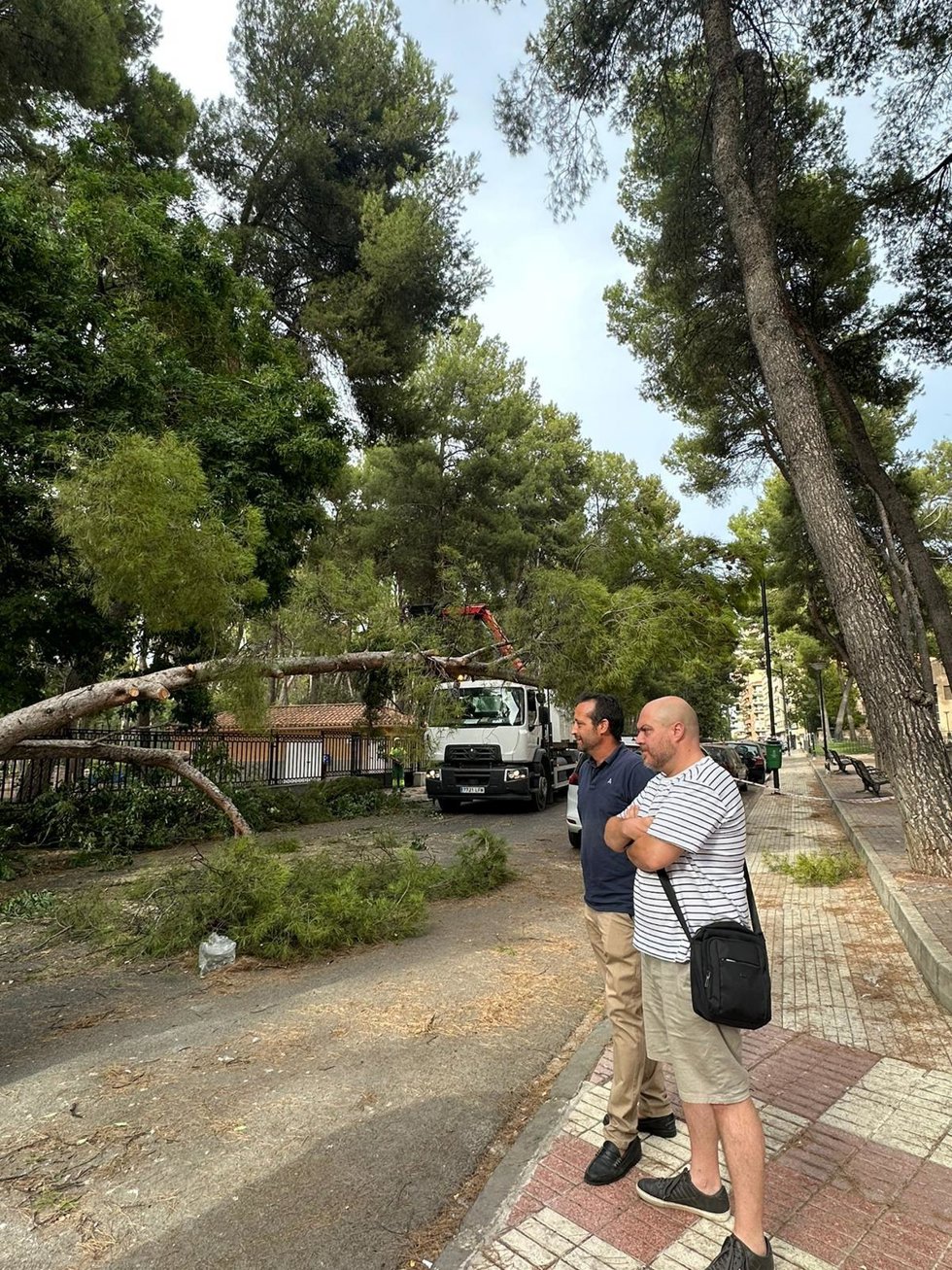 Archivo - Albacete sufrió varios incidentes tras el paso de 'Herminia'