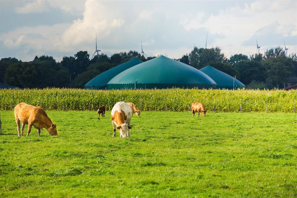 Archivo - Moeve lanza un plan para desarrollar 30 plantas de biometano en España en 2030 con inversión de 600 millones