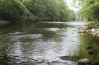Cinco tramos de cuatro ríos cántabros están en observación de niveles por la acumulación de lluvia