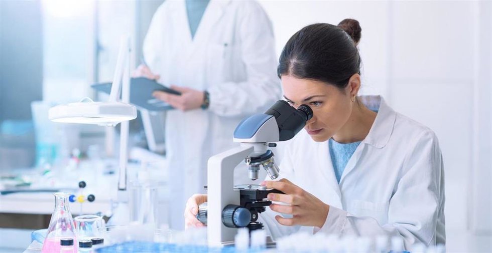 Investigadora