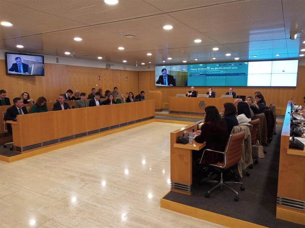 Un momento del Pleno ordinario de la Diputación.