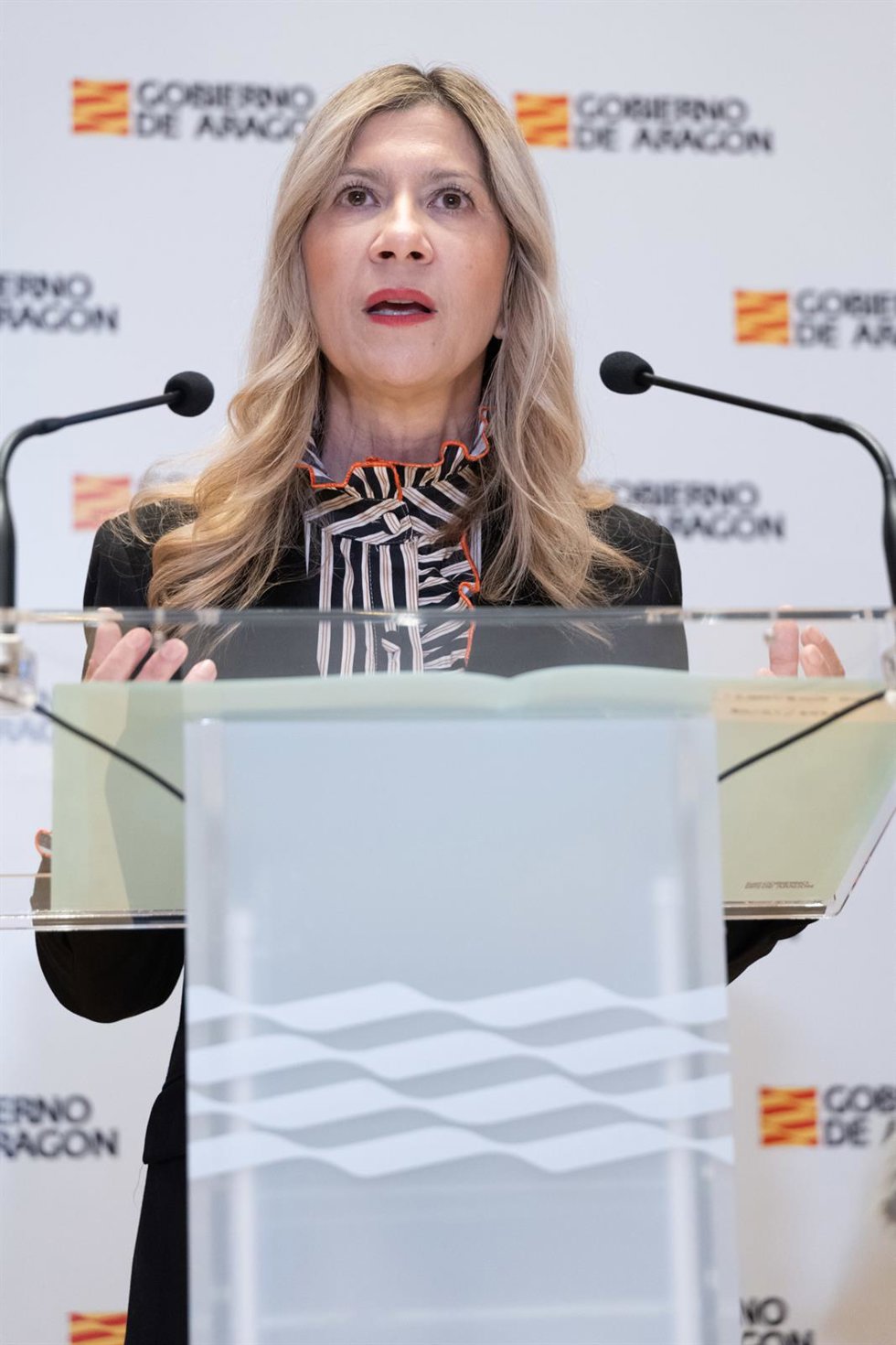 La vicepresidenta del Gobierno de Aragón, Mar Vaquero, este jueves en rueda de prensa