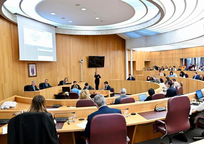 Pleno de la Diputación de Granada
