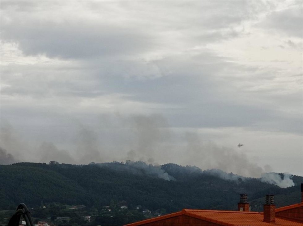 Archivo - Incendio forestal