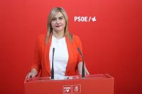 Fernández (PSOE): "El voto del PP en contra al decreto ómnibus ha impedido que se actualicen las entregas a cuenta"