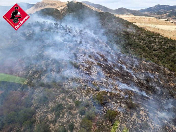 Imatge de l'incendi forestal a l'Alguenya, el 29 de gener del 2025.