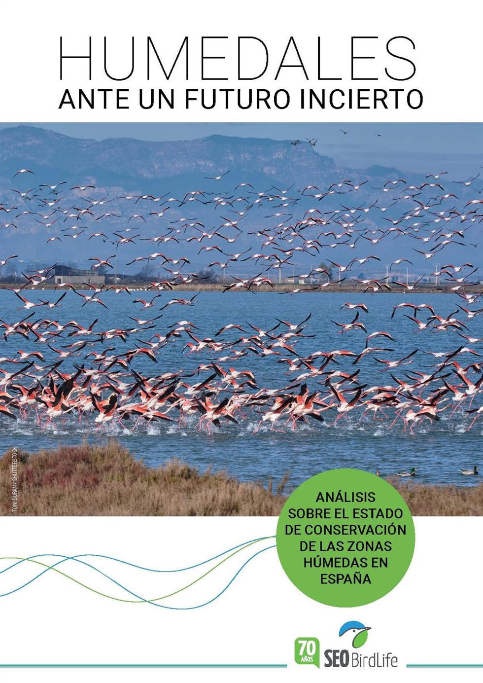 El 76% de los humedales presentan un estado de conservación desfavorable en España, según SEO/BirdLife.