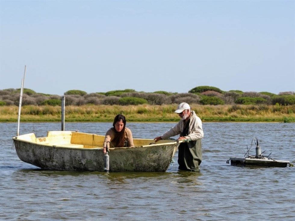 Técnicos del ICTS-Doñana.