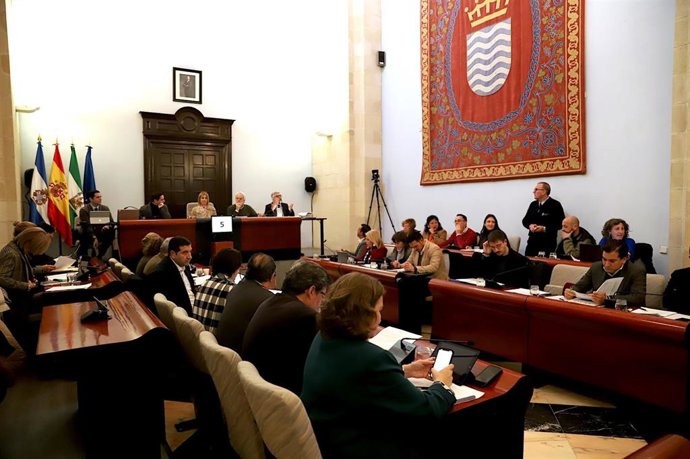 Pleno municipal en el Ayuntamiento de Jerez de la Frontera.