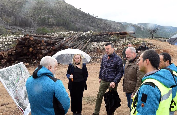 La Diputación Concluirá En Dos Meses El Grueso De Los Trabajos De Regeneración Forestal Tras El Incendio De Montitxelvo