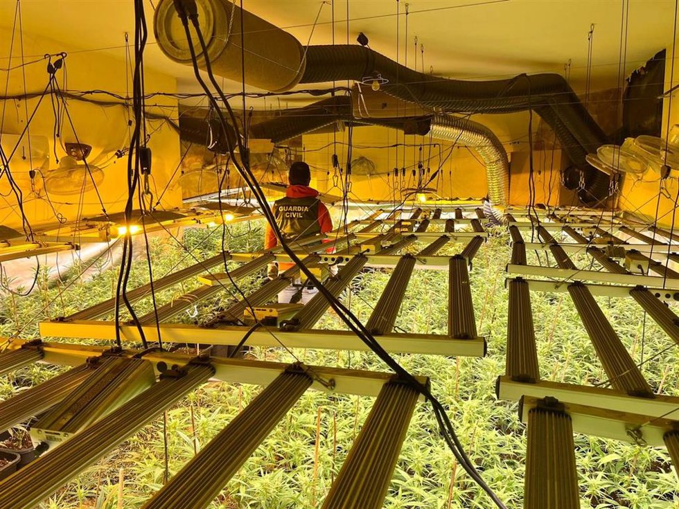 Centro de producción de plantas de marihuana en Güevéjar (Granada)