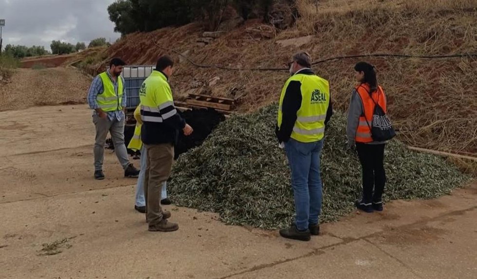Trabajos del proyecto Al-Compost