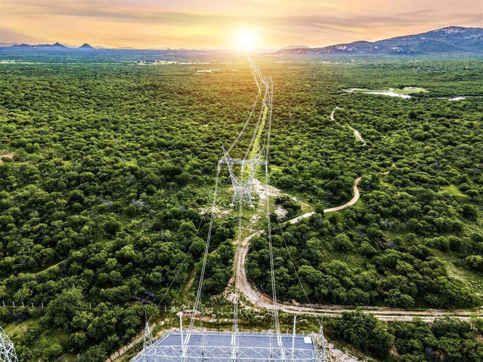 Iberdrola cerró 2024 con una cifra récord de electricidad distribuida