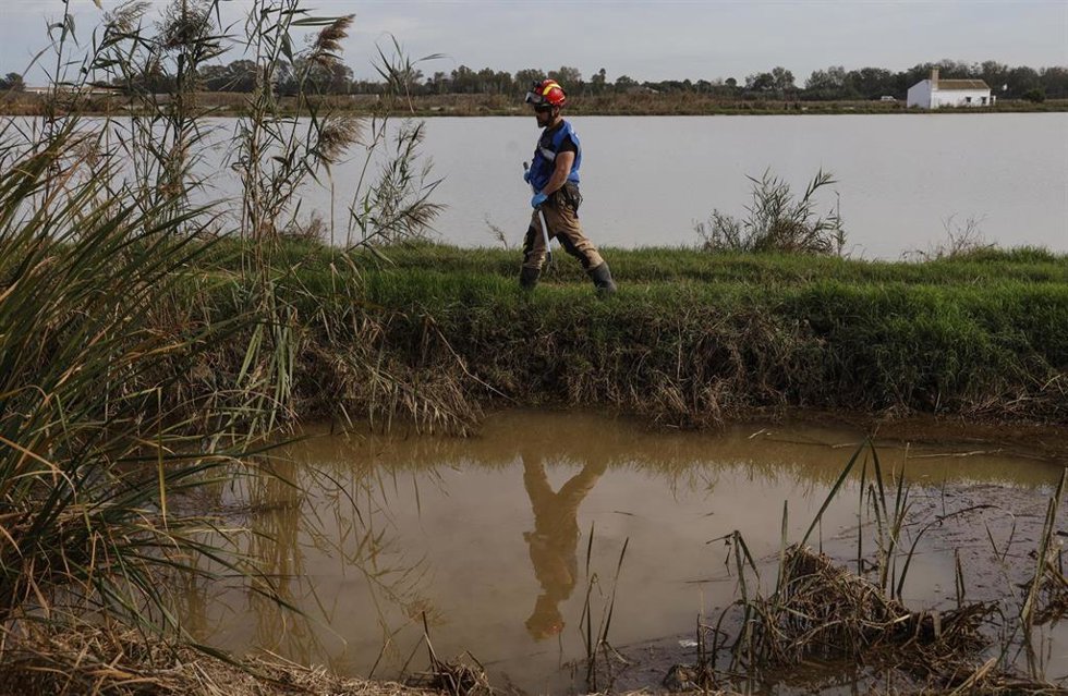 Archivo - Un agente de la UME inspeccionan la zona de La Albufera, a12 de noviembre de 2024, en Valencia, Comunidad Valenciana (España). 