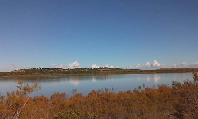 Imagen de uno de los humedales de Jerez.
