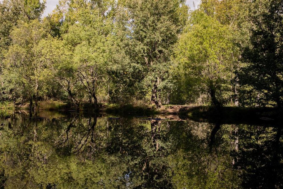 Archivo - Un lago el día que da comienzo el otoño 2023, en el Bosque Finlandés, a 20 de septiembre de 2023, en Rascafría, Madrid (España). 