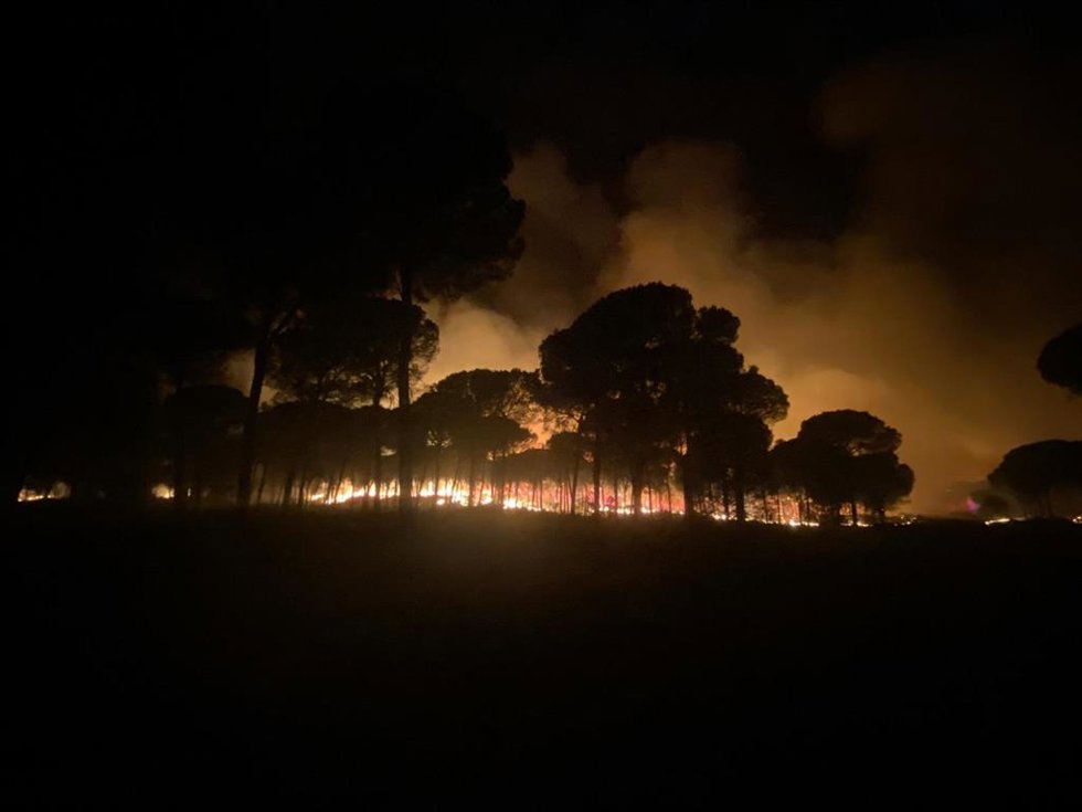 Archivo - Imagen del incendio de Almonte (Huelva) de 2022.