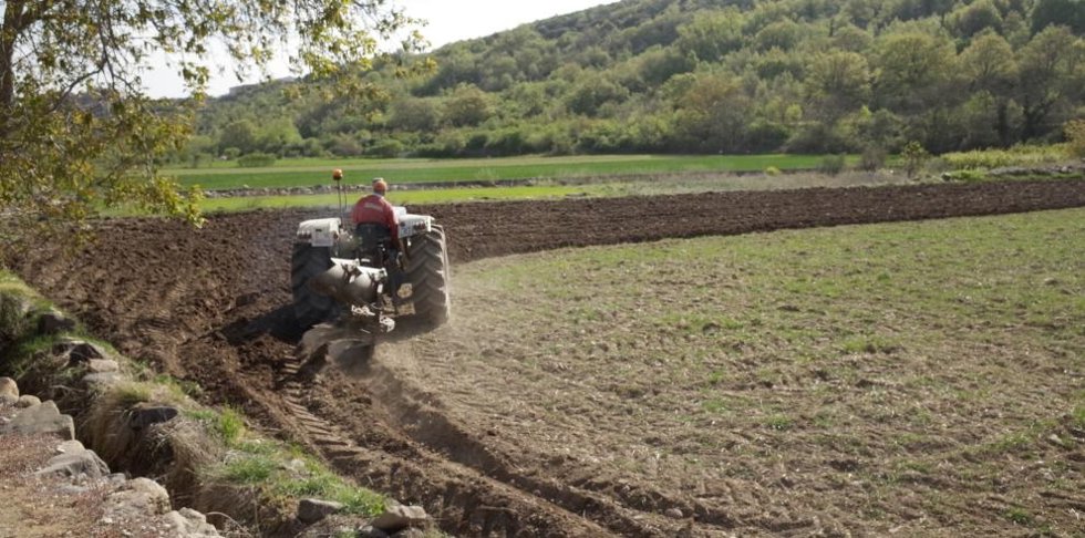 Más de 3.000 agricultores aragoneses han recibido créditos para paliar las pérdidas por la sequía y por el perjuicio causado por la invasión rusa de Ucrania.