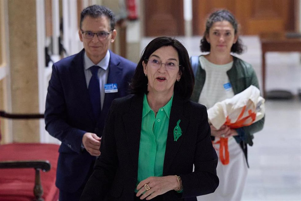Archivo - La presidenta de la Comisión Nacional de los Mercados y Competencia (CNMC), Cani Fernández, llega a comparecer en la Comisión de Economía, Comercio y Transformación Digital, en el Congreso de los Diputados, a 19 de septiembre de 2024, en Madri