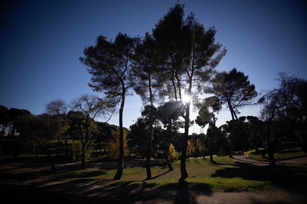 Archivo - Parque de la Dehesa de la Villa, a 20 de diciembre de 2024, en Madrid (España). Este parque está situado al noroeste de la ciudad de Madrid, junto a la Ciudad Universitaria. Su principal característica es que mantiene su condición de bosque, c