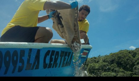 Comunicados Internacional