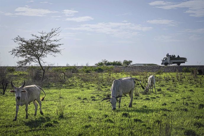 Archivo - Arxiu - Yuba, Sudan del Sud