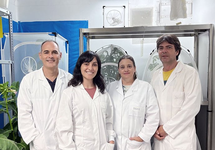 Equipo de la spin-off