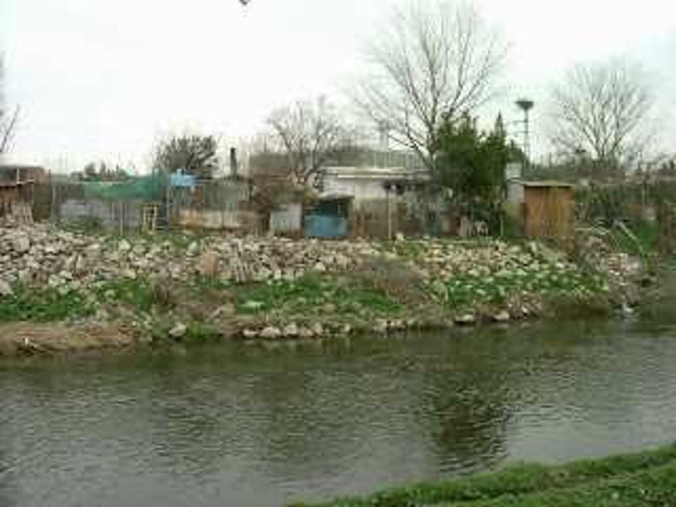 Ecologistas alertan de posibles impactos ambientales por el proyecto de recuperación del río Manzanares en Getafe