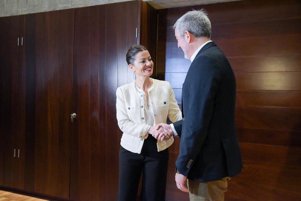 Archivo - El presidente del Gobierno de Canarias, Fernando Clavijo, y la ministra de Infancia y Juventud, Sira Rego, se saludan durante una reunión en Canarias