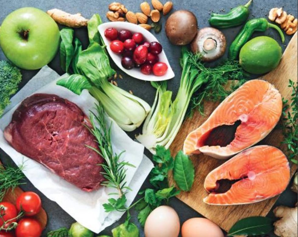 Vitoria-Gasteiz se adhiere a la Red de Municipios por la Agroecología