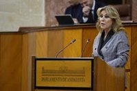 La consejera de Hacienda informa sobre el relevo en la Intervención General en el primer Pleno del Parlamento de 2025