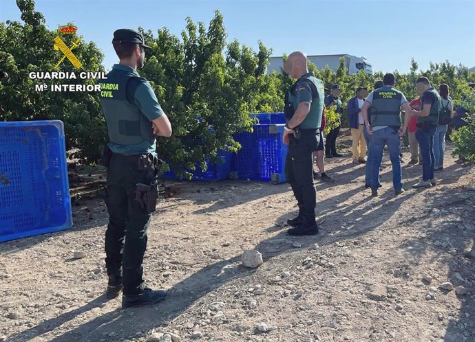 Agentes de la Guardia Civil en la finca en la que eran explotados laboralmente ciudadanos rumanos.