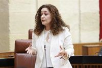 Por Andalucía acusa a la Junta de "hacer politiqueo" e "inventar polémicas" sobre inmigración "bajando al fango"