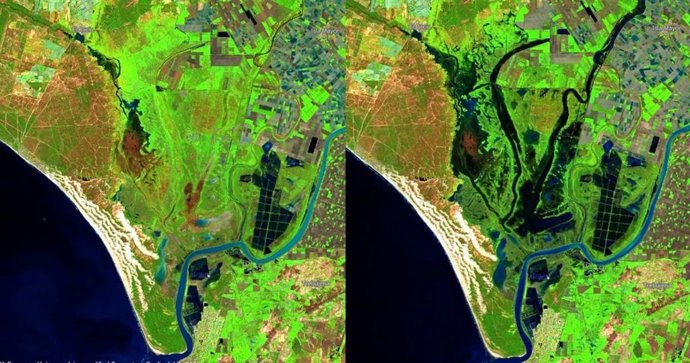 Comparación del estado de Doñana a vista del satélite Sentinel-2 de los días 15 de enero (izquierda) y 4 de febrero (derecha) de 2025.