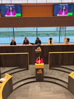 La diputada de Cultura, Cooperación, Juventud y Deportes, Goizane Álvarez, en las Juntas de Gipuzkoa