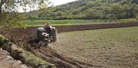 Saeca avaló un 66% más de operaciones a agricultores y ganaderos en 2024, hasta 451,2 millones