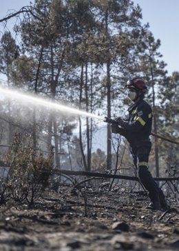 Archivo - Se incluyen bomberos forestales y personal técnico, entre otros