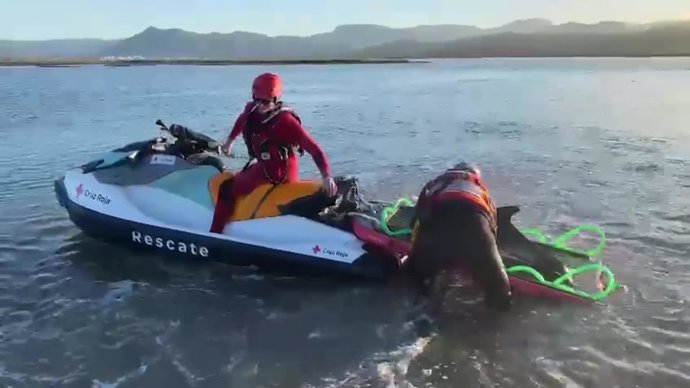 Vídeo de la noticia