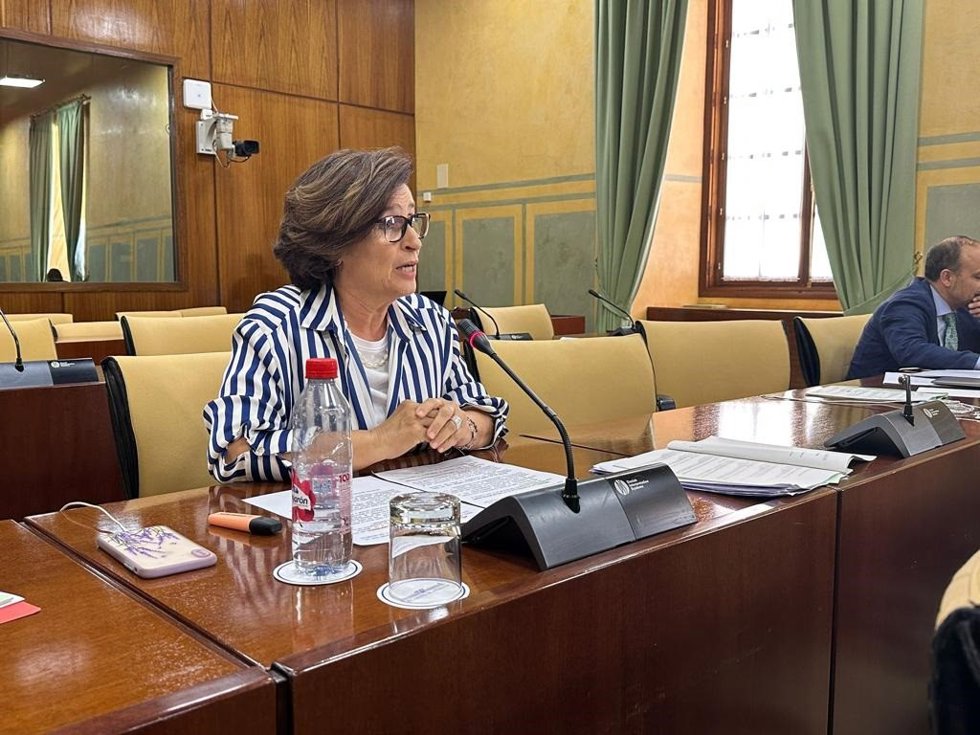 Archivo - La parlamentaria andaluza del PP de Jaén Lola Martín/Archivo