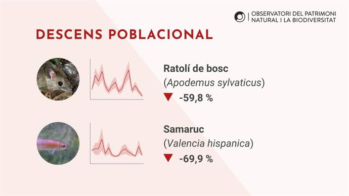 Uno de los ejemplos de descenso poblacional del índice