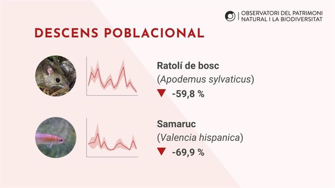 Un dels exemples de descens poblacional de l'índex