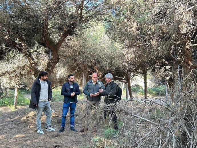 El delegado de Medio Ambiente, Óscar Curtido, en una visita en los pinares de Rota.