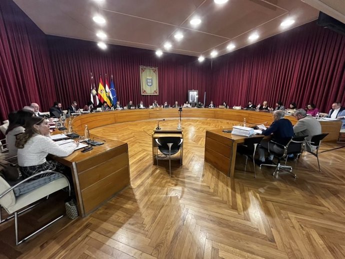 Pleno del Ayuntamiento de Logroño de febrero de 2025