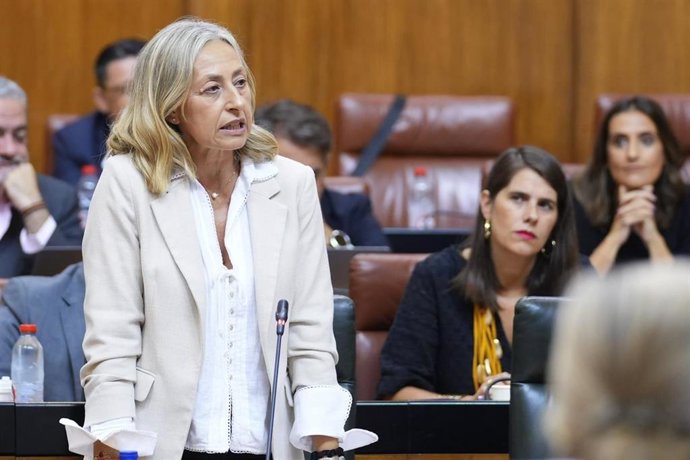 Archivo - La consejera de Salud y Consumo, Rocío Hernández, en el pleno del Parlamento en una imagen de archivo.
