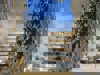 Un incendio en un piso de un edificio del barrio Covadonga obliga a desalojar a vecinos